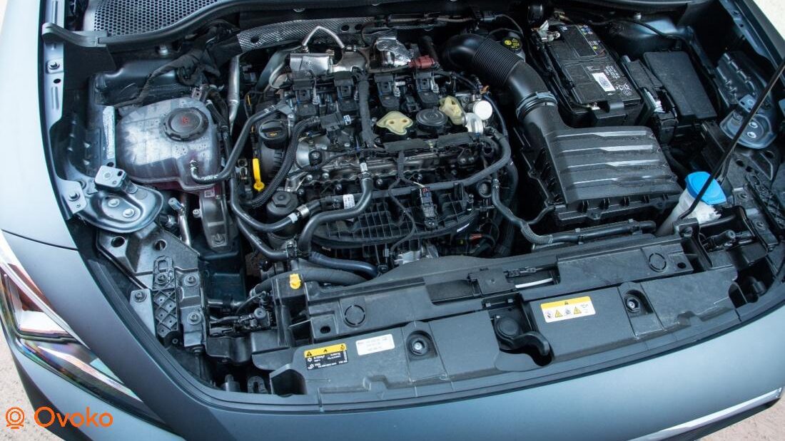 cupra formentor problemi