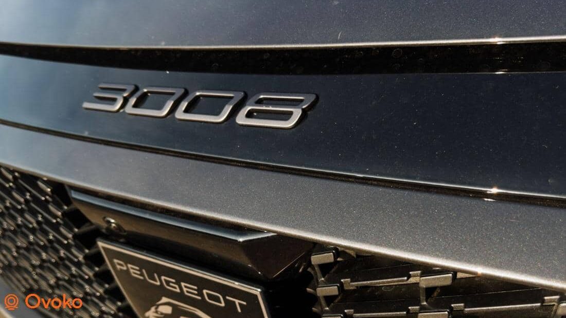 peugeot 3008 problemi