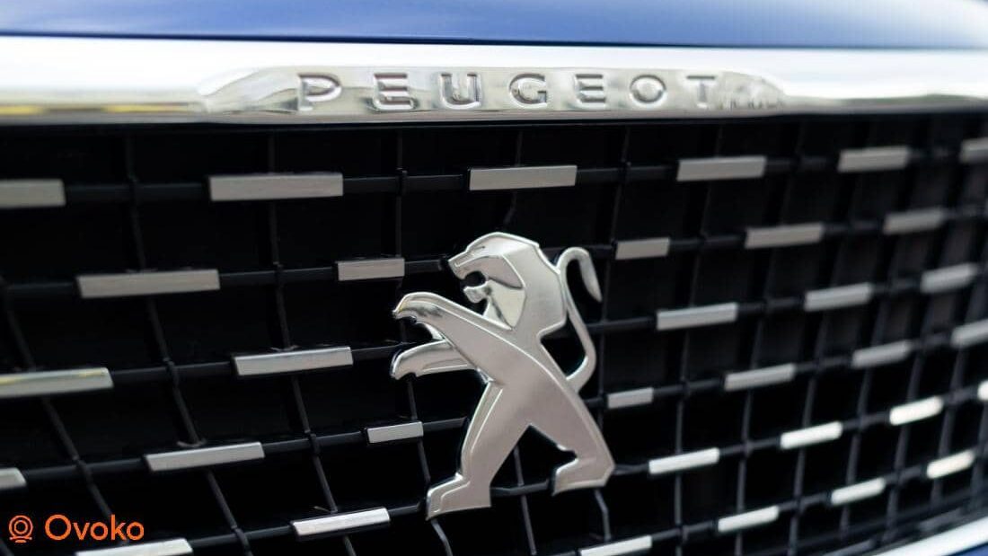 peugeot 3008 problemi​